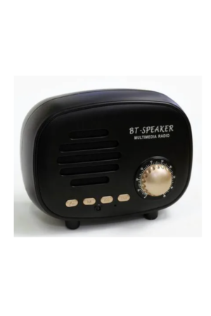 BT-SPEAKER MULTIMEDIA RADIO